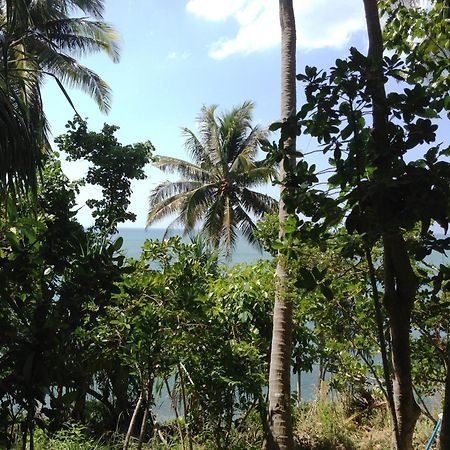 The Narima - Sha Plus Ko Lanta Exteriör bild