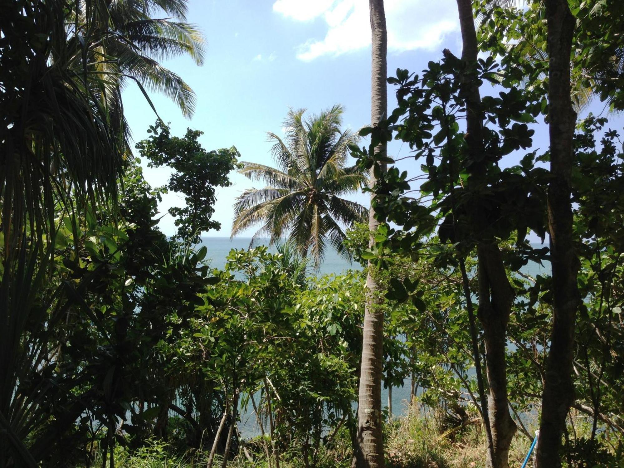 The Narima - Sha Plus Ko Lanta Exteriör bild
