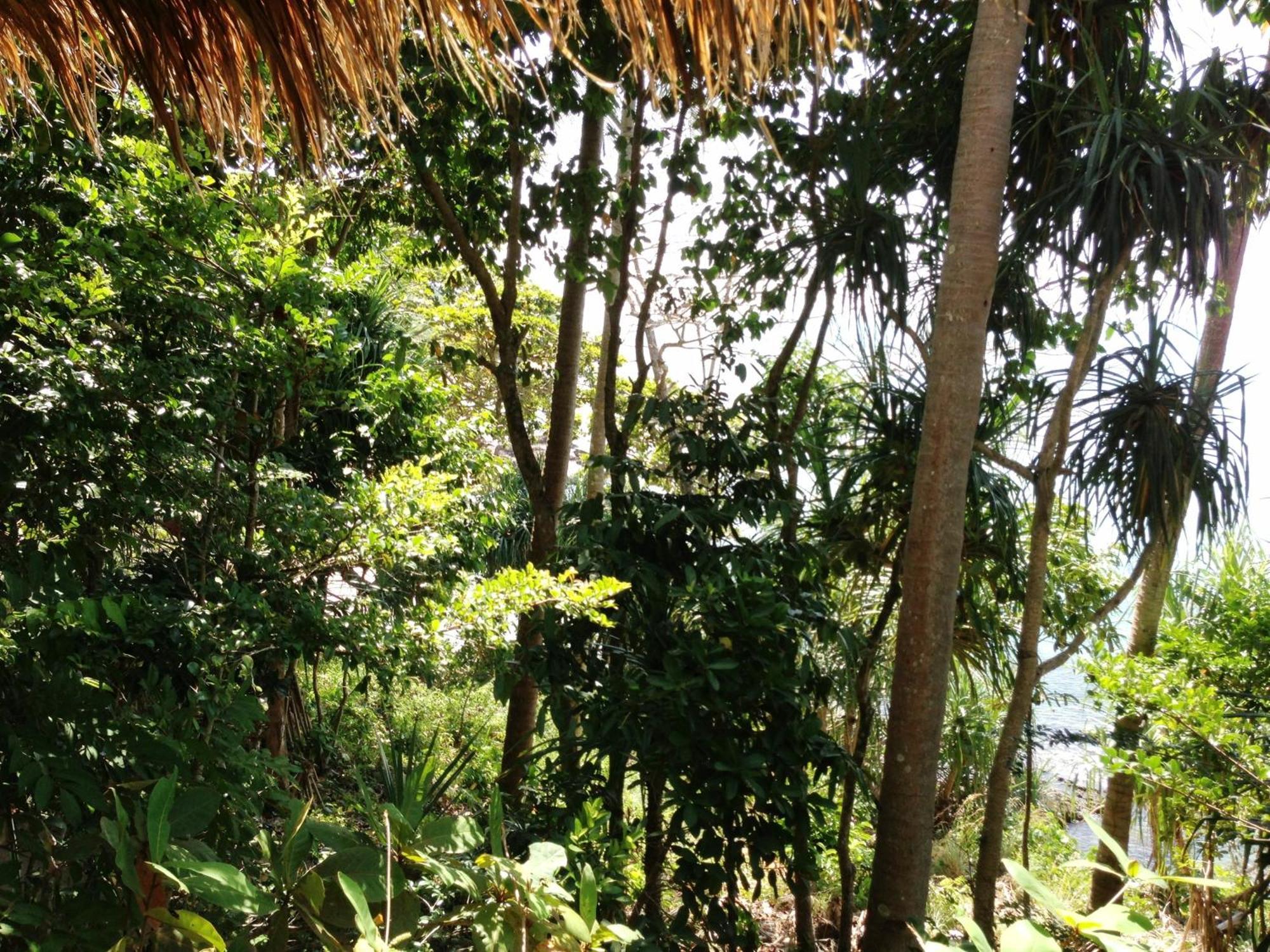 The Narima - Sha Plus Ko Lanta Exteriör bild