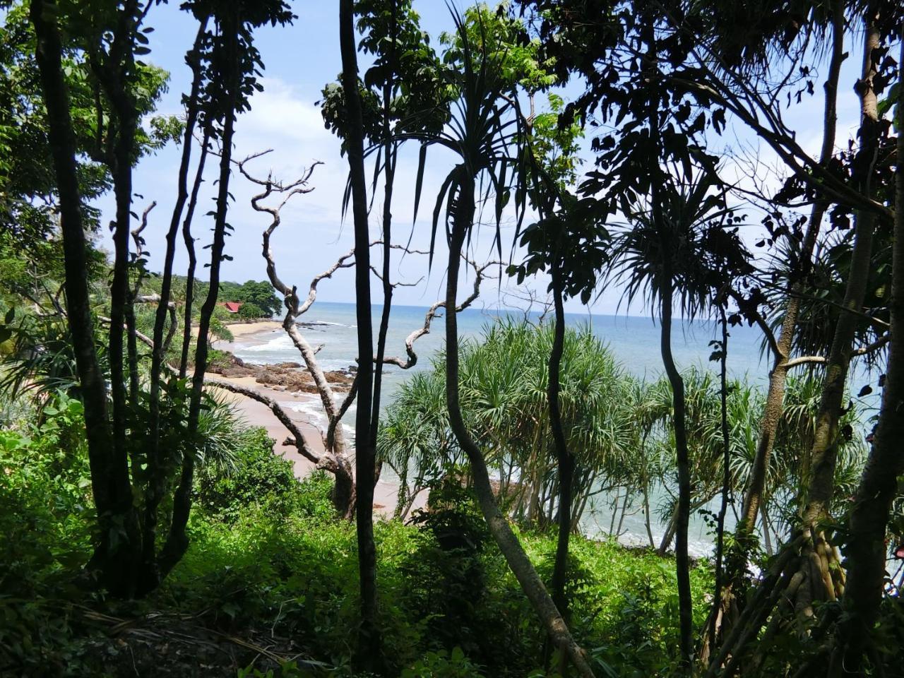 The Narima - Sha Plus Ko Lanta Exteriör bild